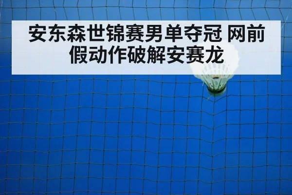 badminton net shot